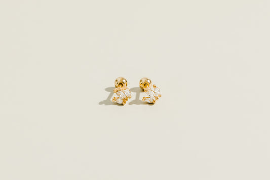 Crown Zirconia Studs