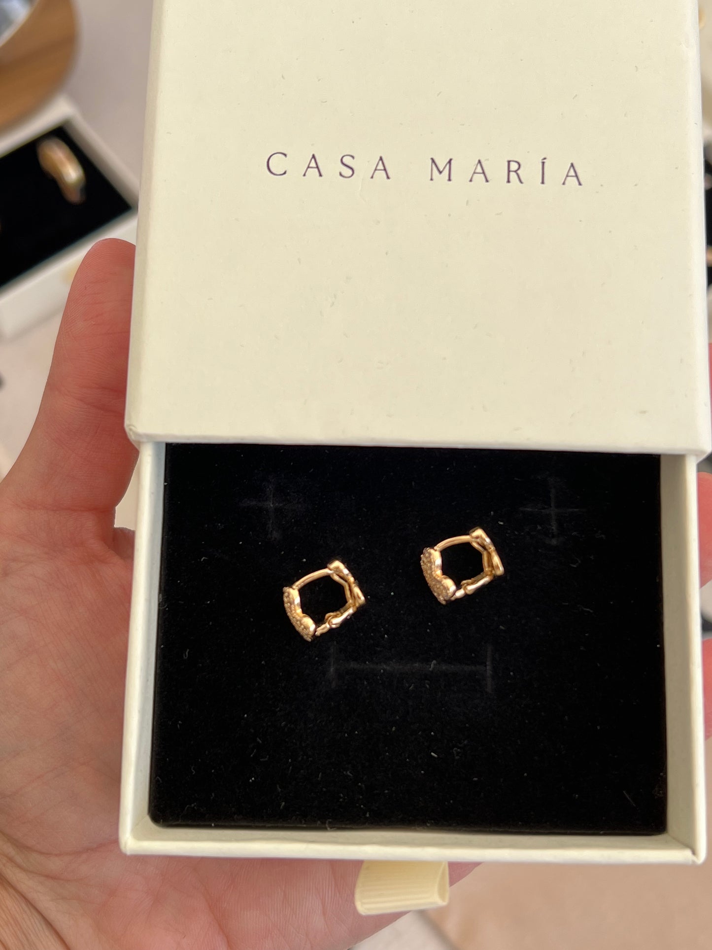 Zirconia Clove Hoops - reversible